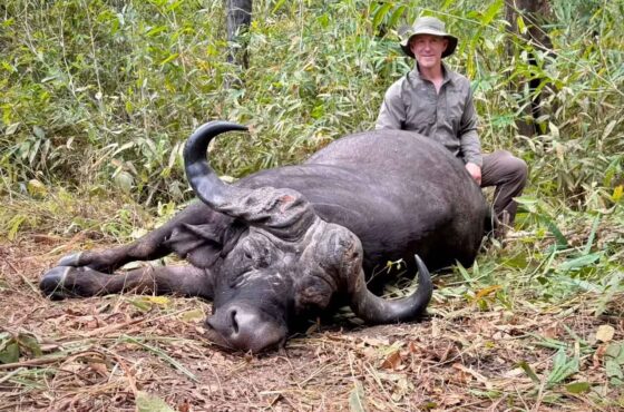 Every Buffalo is a TROPHY