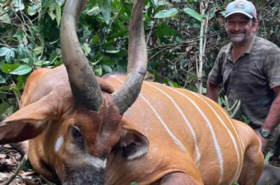 2026 BONGO in CONGO. $15,000 Savings