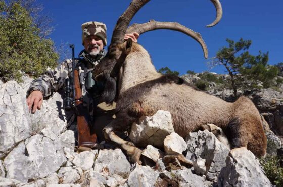 Hunting Permits in Turkey Set to Increase. Go Now