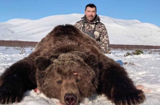 MAGADAN BROWN BEARS – SPRING 2026