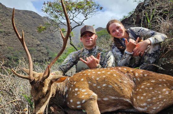 Hunting in Hawaii – Free Range