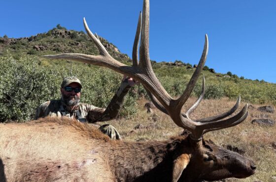 Private Land Bulls in New Mexico