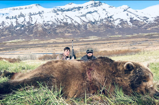 Giant Alaska Peninsula Brown Bear