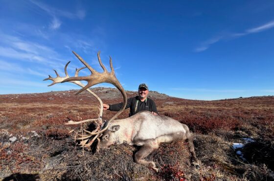 Greenland Fall Caribou & Muskox Hunt