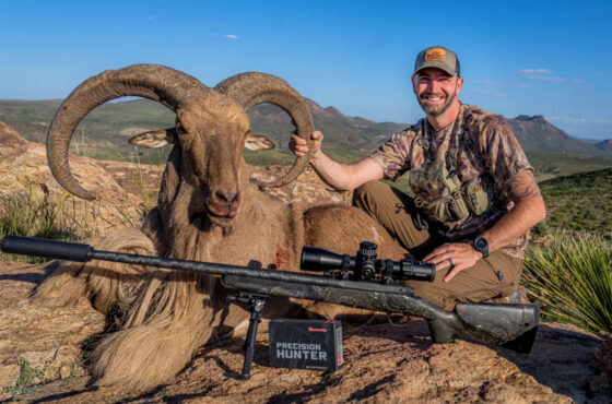 Aoudad Hunt In West Texas