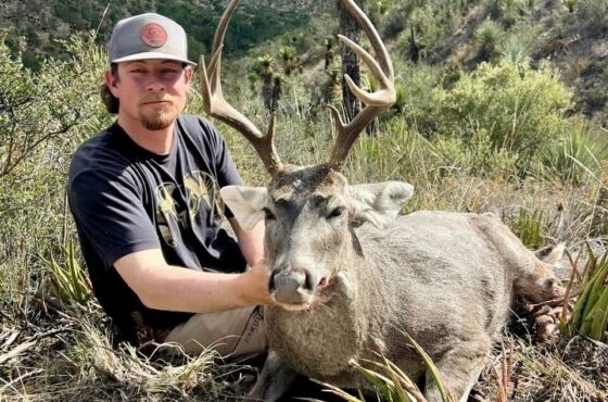 Mexico Central Plateau Whitetail