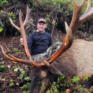 Trophy-Class Roosevelt Elk Hunt in Coastal BC